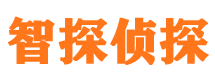 仁化侦探公司